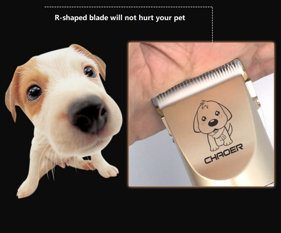Gunting Haiwan Peliharaan Tanpa Kord A60 usb