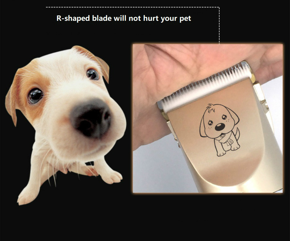 Gunting Haiwan Peliharaan Tanpa Kord C28 usb