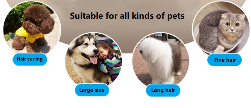 Gunting Haiwan Peliharaan Tanpa Kord C59